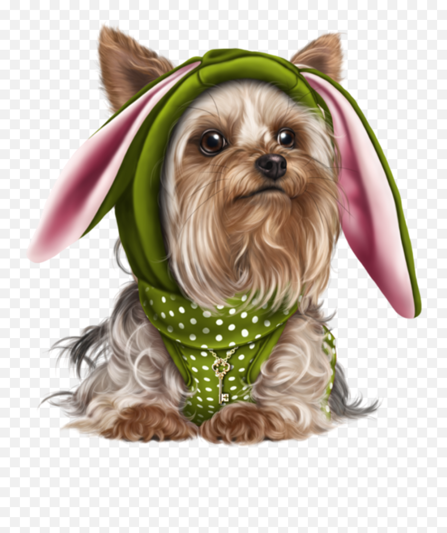 Download Figurinha Cachorro Png - Yorkshire Terrier Png,Cachorro Png