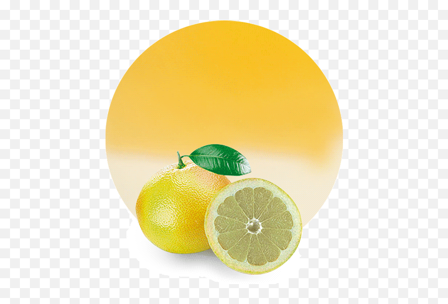 White Grapefruit Concentrate - Lemon And White Grapefruit Look Alike Png,Grapefruit Png