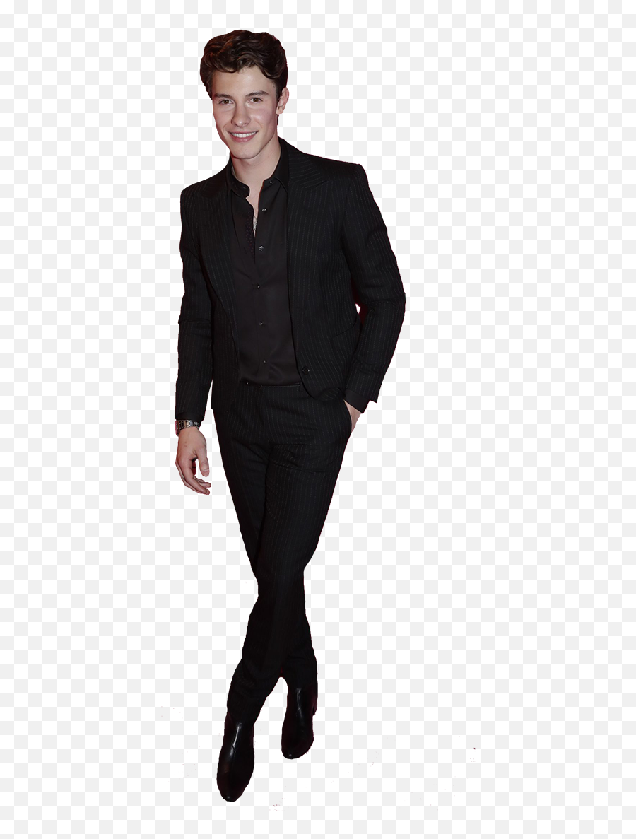Shawn Mendes Standing Hd Png Download - Shawn Mendes Suit Png,Shawn Mendes Png