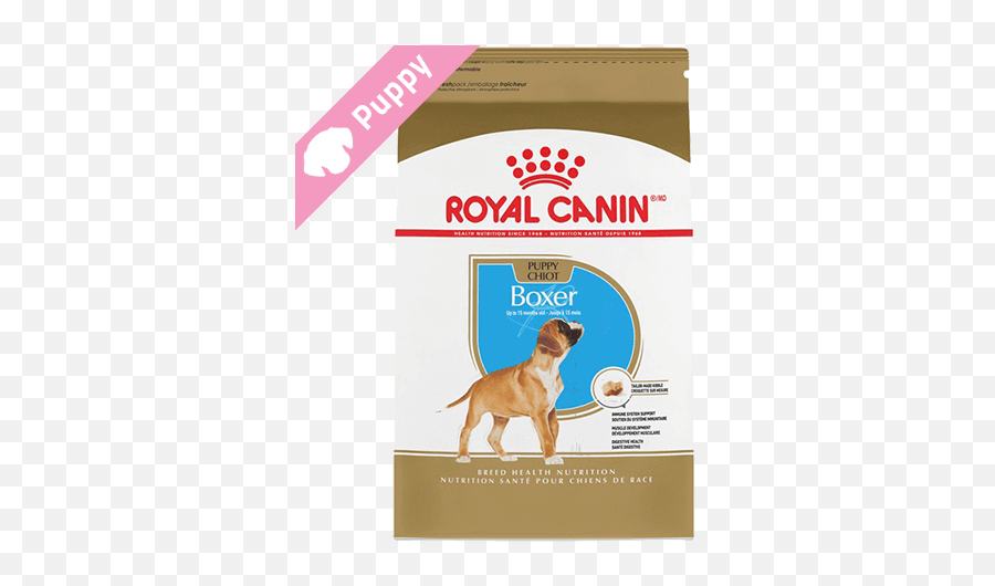Royal Canin Boxer Puppy - Royal Canin Puppy Yorkshire Terrier Png,Puppy Png