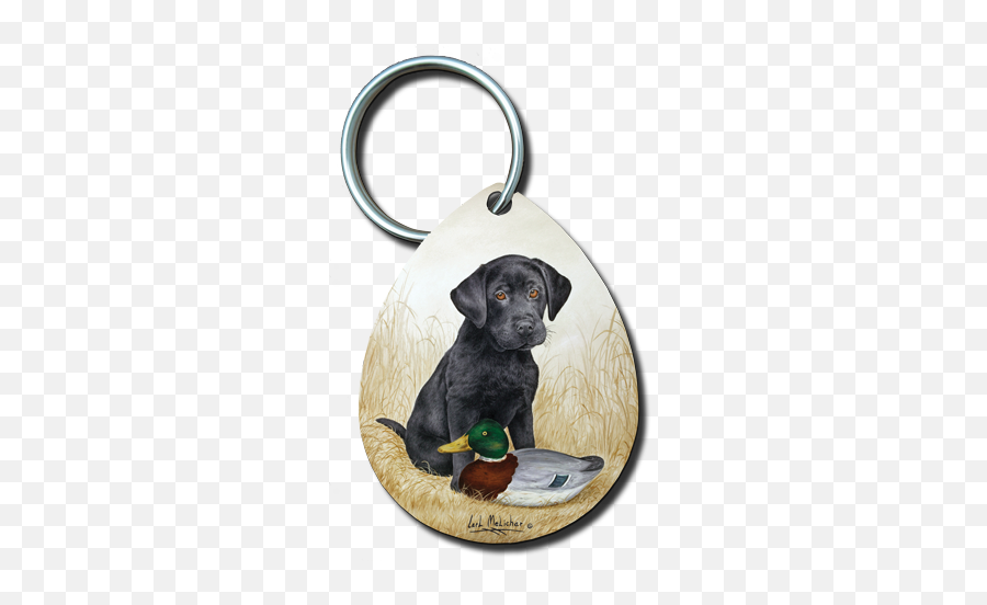 Black Lab Puppy With Decoy - Mallard Png,Black Lab Png