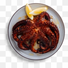 Carmen - Kukiiro Png,Octopus Transparent
