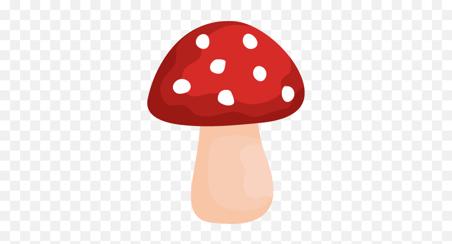 Usa Mushroom Identification - Shroomify Canada Mushroom Id Png,Mushroom Transparent