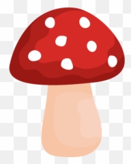 Usa Mushroom Identification - Shroomify Canada Mushroom Id Png,Mushroom Transparent