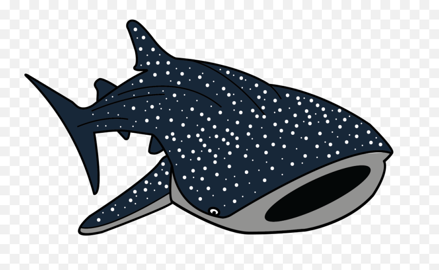 Hammerhead Shark Clipart Whale - Whale Shark Clip Art Png,Whale Shark Png