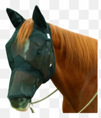 Fly Masks - Fly Nets Big Black Horse Llc Fly Mask Png,Horse Mask Png
