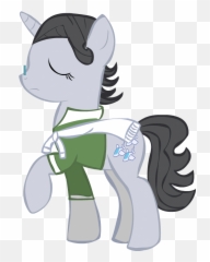 What If An Earth Pony Wanted To Join The Wonderbolts - FiM Mlp Jet Set png