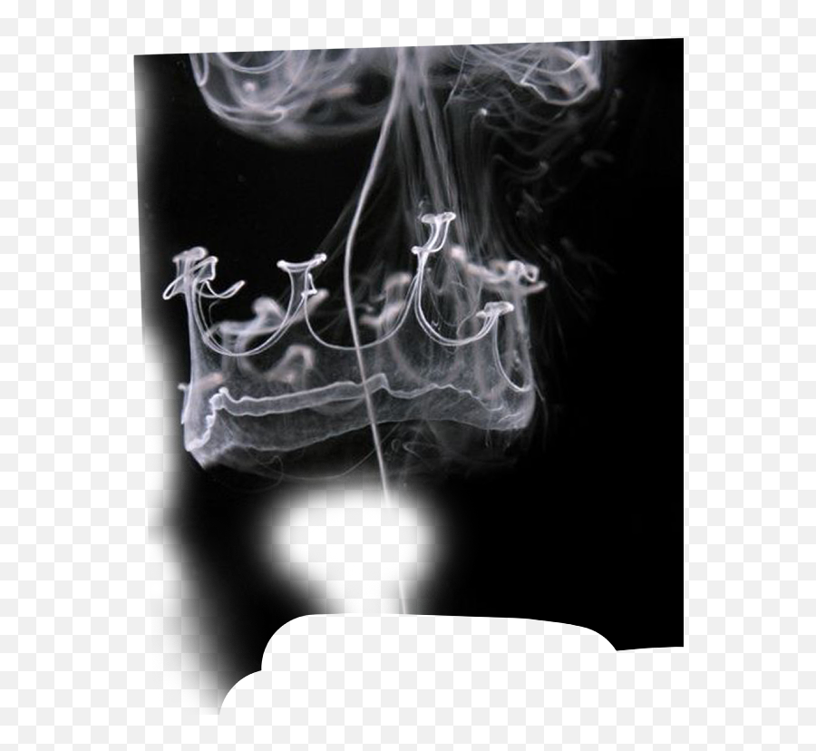 King Crown Photo Editing In Picsart Get Png Smoke Crown Gif King Crown Png Free Transparent Png Images Pngaaa Com
