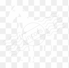 Iconexperience M - Collection Horse Animal Figure png