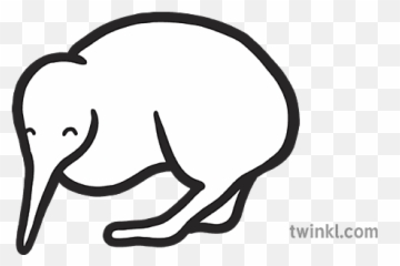 Zealand Bird Flightless Eyfs Black - Sketch png
