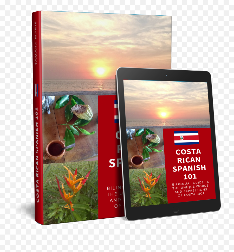 Pura Vida 19 Costa Rican Spanish Phrases You Must Know - Mobile Phone Png,Phrasebook Icon