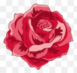 Rose Png U0026 Svg Transparent Background To Download - Illustration