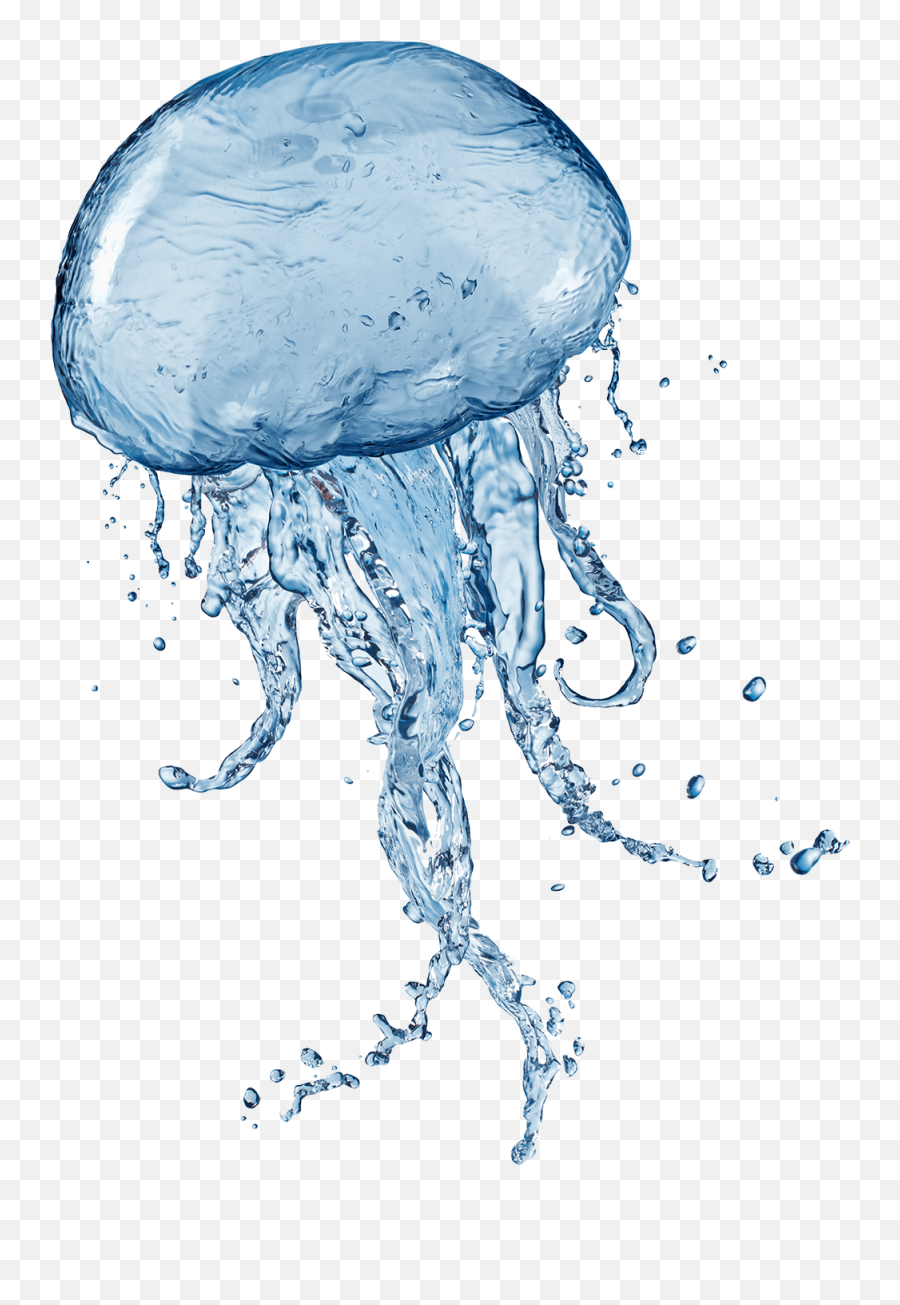Jellyfish Png Images Free Download - Blue Jelly Fish Png,Transparent Jellyfish