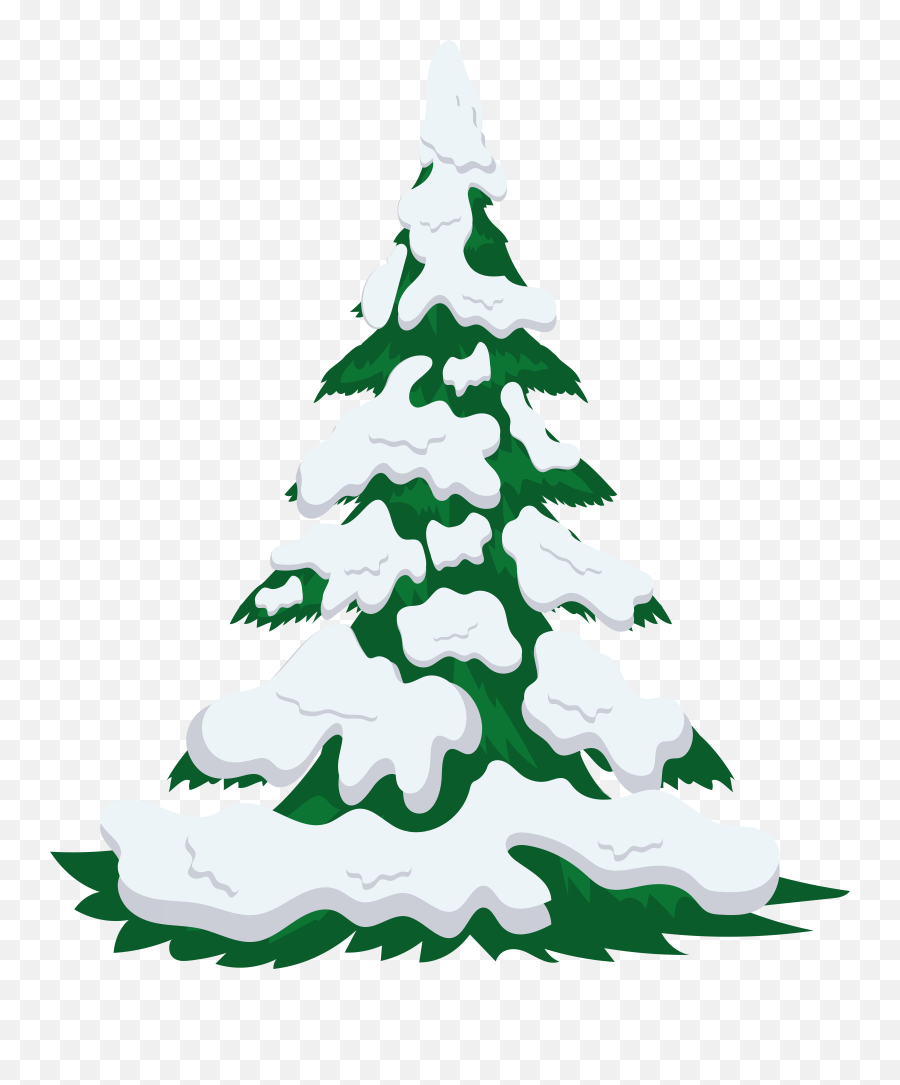 Snowy Tree Transparent Png Image Trees
