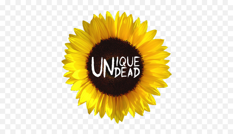 Sunflower Icon Pack U2013 Apps - Indian Flag Background Flower Png,Zwart Icon Adw