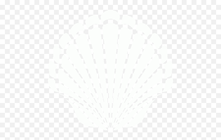 White Seashell 2 Icon - Free White Seashell Icons Concha Laranja Em Png,Due Icon