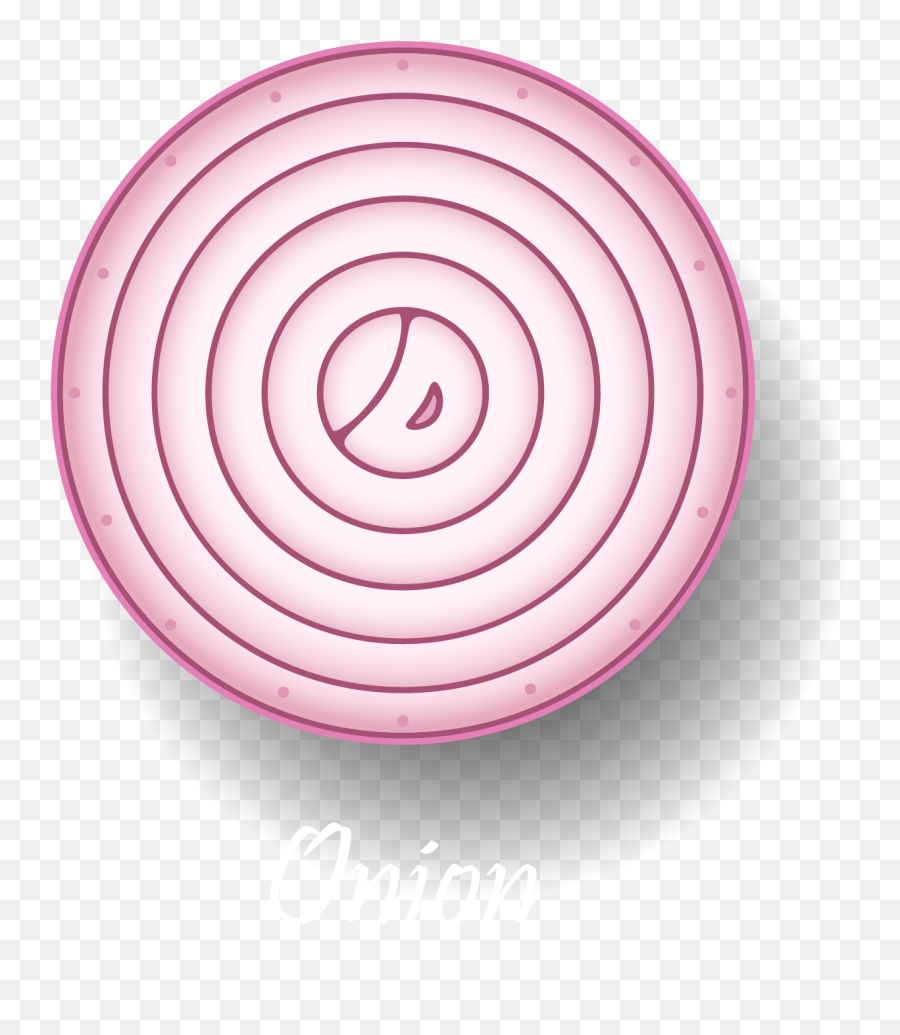 Free Png Onion - Konfest,Onion Png