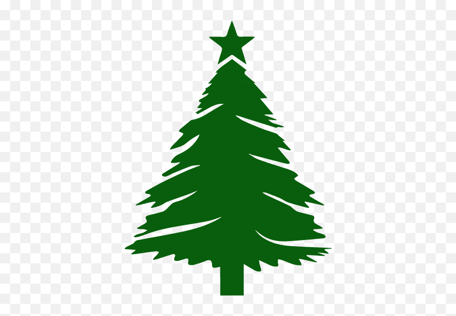 Home - Pikes Peak Nurseries Transparent Christmas Tree Vector Png,Christmas Tree Icon