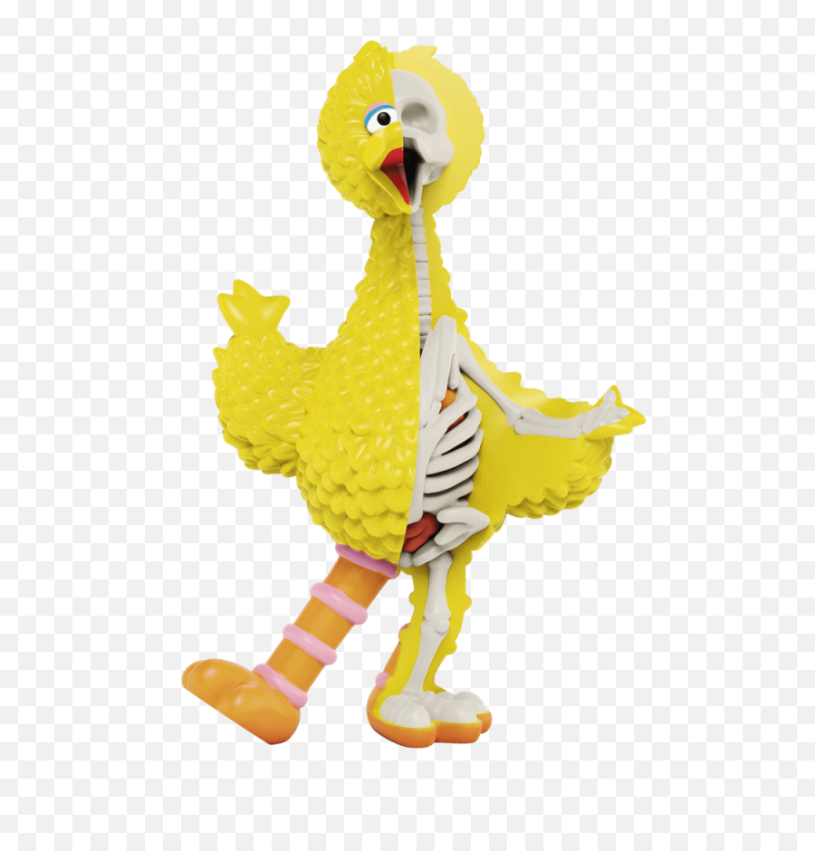 Xxray Plus Sesame Street Big Bird U2013 Mighty Jaxx - Semesame Street Big Bird Png,Oscar The Grouch Png