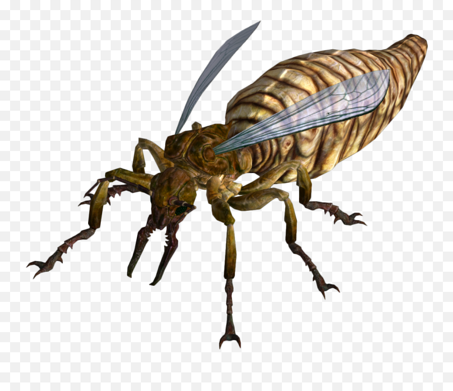 Fire Ant Queen Fallout Supplement - Du0026d Wiki Fallout New Vegas Ant Png,Ant Png