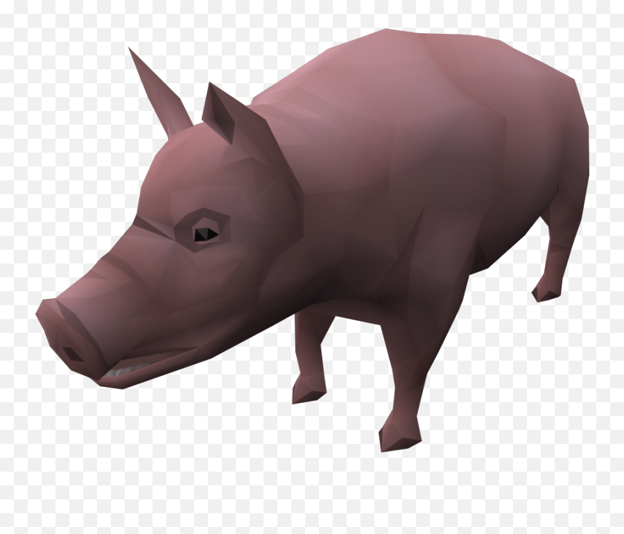 Pig - The Runescape Wiki Domestic Pig Png,Pig Png