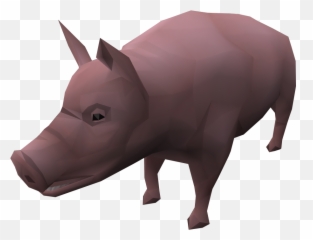 Pig - The Runescape Wiki Domestic Pig Png,Pig Png