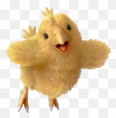 Download Free Png Chocobo Chick - Chocobo Final Fantasy 13,Chick Png