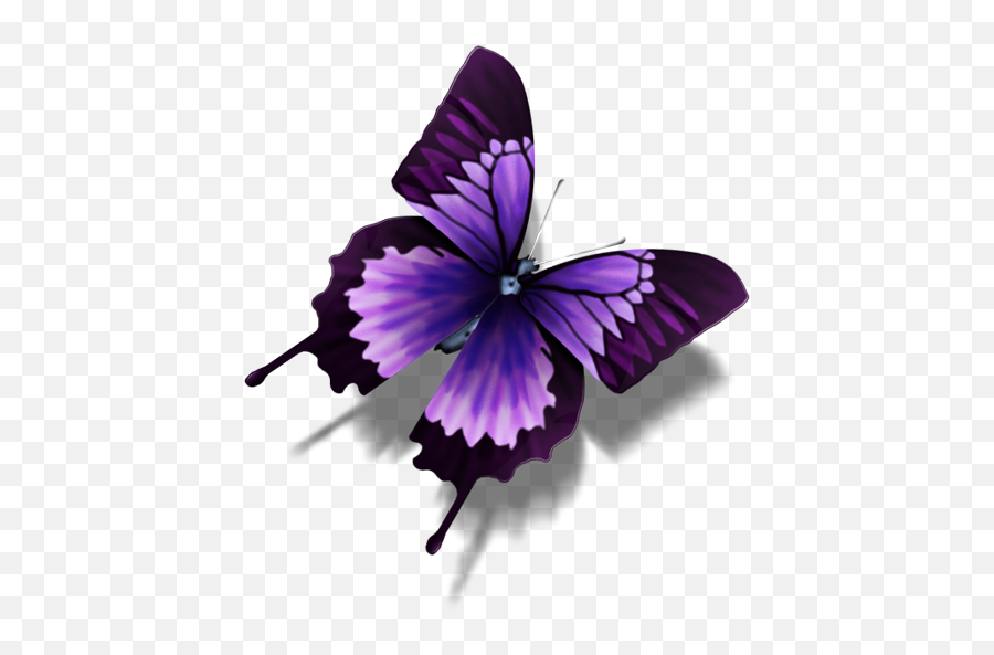 Purple Butterfly Png Image - Purple Butterfly Transparent Background,Purple Butterfly Png