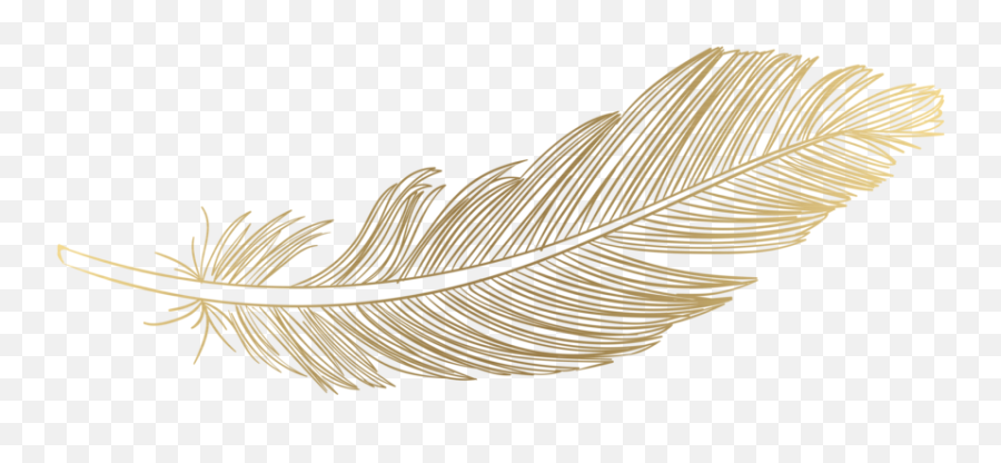 Feather Png Hd - Wood,Feather Transparent Background