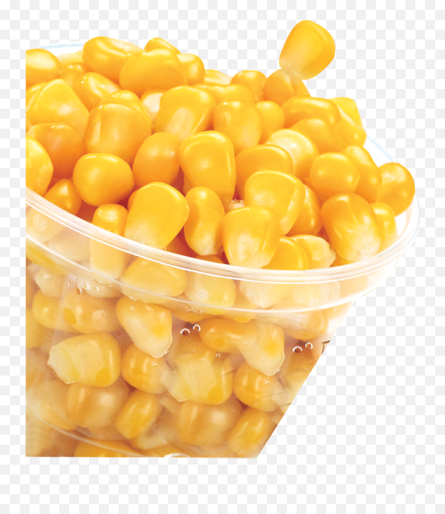 Corn Kernel Png - Sweet Corn Images Png Transparent Sweet Corn Png,Corn Transparent
