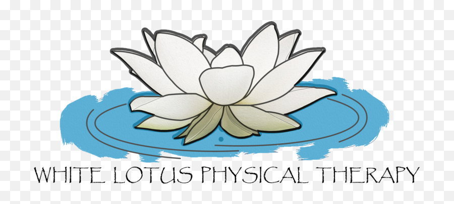 White Lotus Physical Therapy - Sacred Lotus Png,Lotus Png