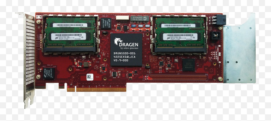 Dragen Board With Chip And Memory - Video Card Png,Chip Png