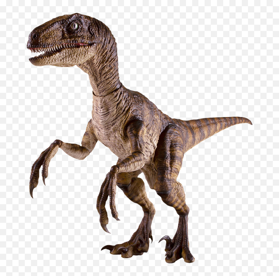 Jurassic Park - Velociraptor 16th Scale Action Figure By Jurassic Park Velociraptor Png,Velociraptor Png