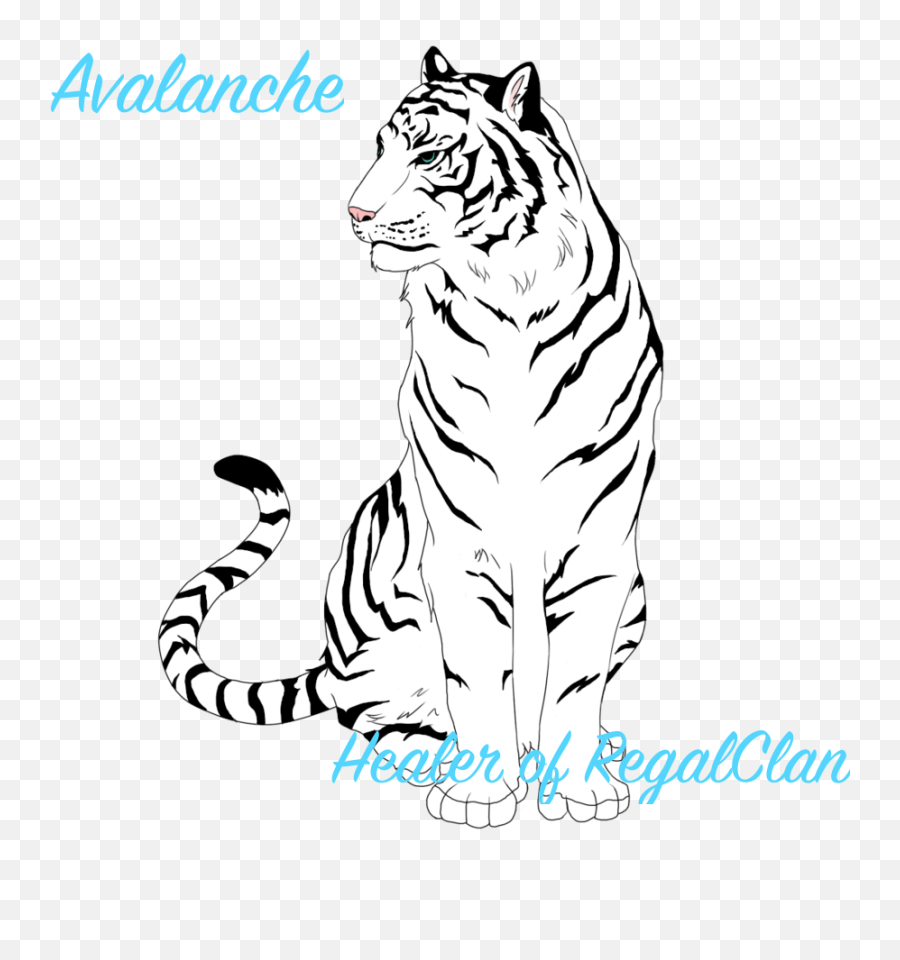 Tiger Eyes Drawing White - Draw A White Tiger Png,Tiger Face Png