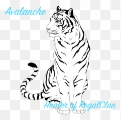 Tiger Eyes Drawing White - A png