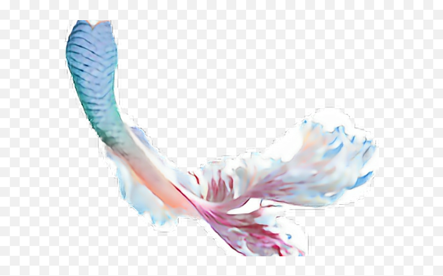 Mermaid Tail Clipart Transparent - Png Transparent Mermaid Tail Png,Mermaid Transparent Background