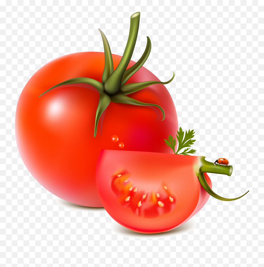 Download Red Tomatoes Png Image For Free - Transparent Tomato Vector Png,Salad Transparent Background