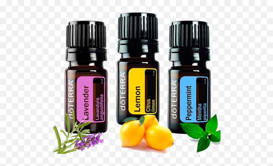 Kit Introdutório - Doterra Lemon Lavender Peppermint Png,Doterra Png