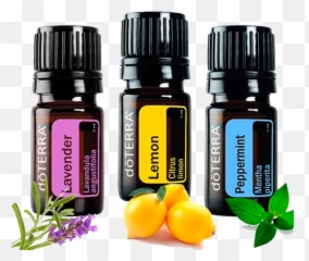 Kit Introdutório - Doterra Lemon Lavender Peppermint Png,Doterra Png