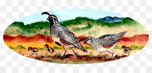 Peeps - Quail Png,Peeps Png