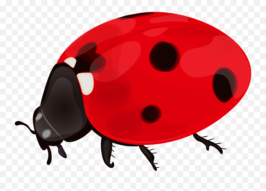 Download Free Png Ladybug Clip Art - Clip Art,Ladybug Png