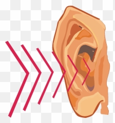 Sound Wave Clipart Transparent - Vibrations Ear Full Art png
