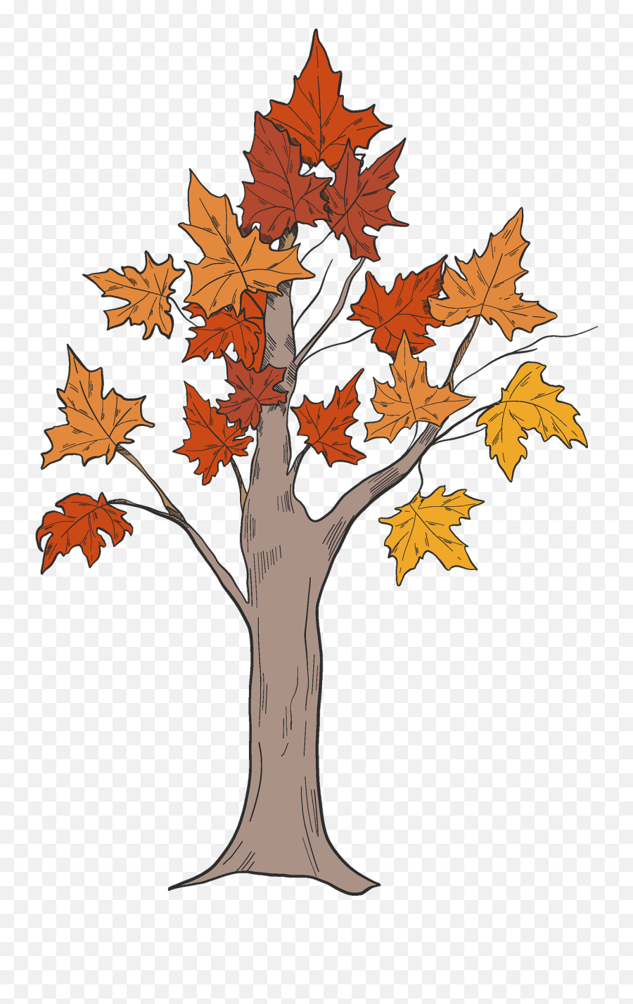 Fall Tree Clipart - Maple Leaf Png,Fall Tree Png