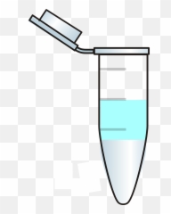 Tube Fluid Liquid - Eppendorf Png