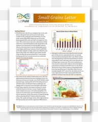 Small Grains Letter Enrolment Leftfield Commodity Research - Document Png,Grains Png