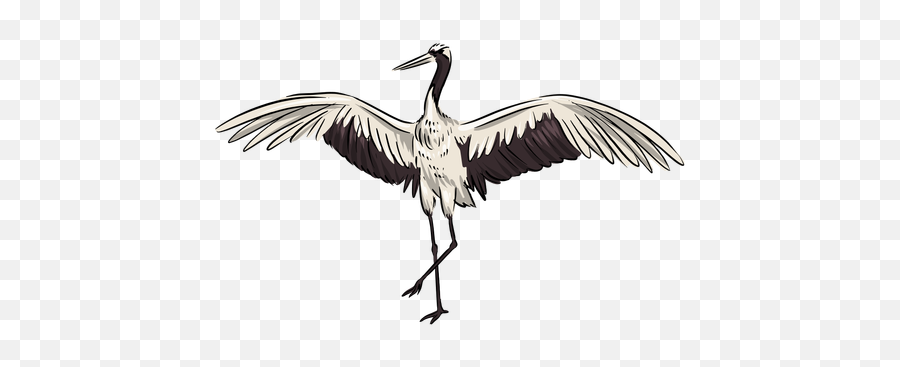 White Crane Bird - Long Png,Crane Bird Png