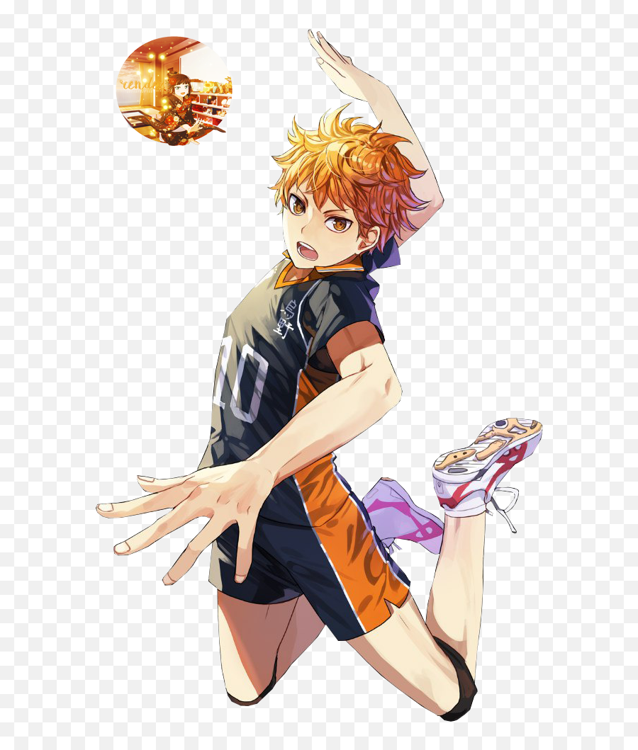 Download Image Result For Hinata Shouyou Profile Iwaizumi - Hinata White Background Haikyuu Png,Hinata Transparent