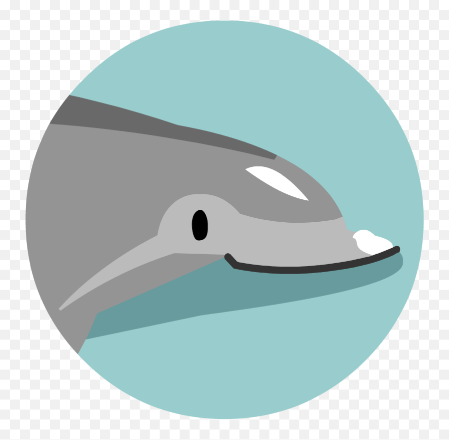 Dolphins - Brainpop Common Bottlenose Dolphin Png,Dolphin Icon