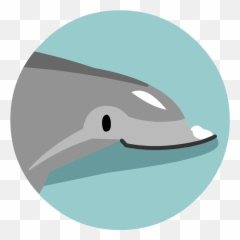 Dolphins - BrainPOP Common Bottlenose png