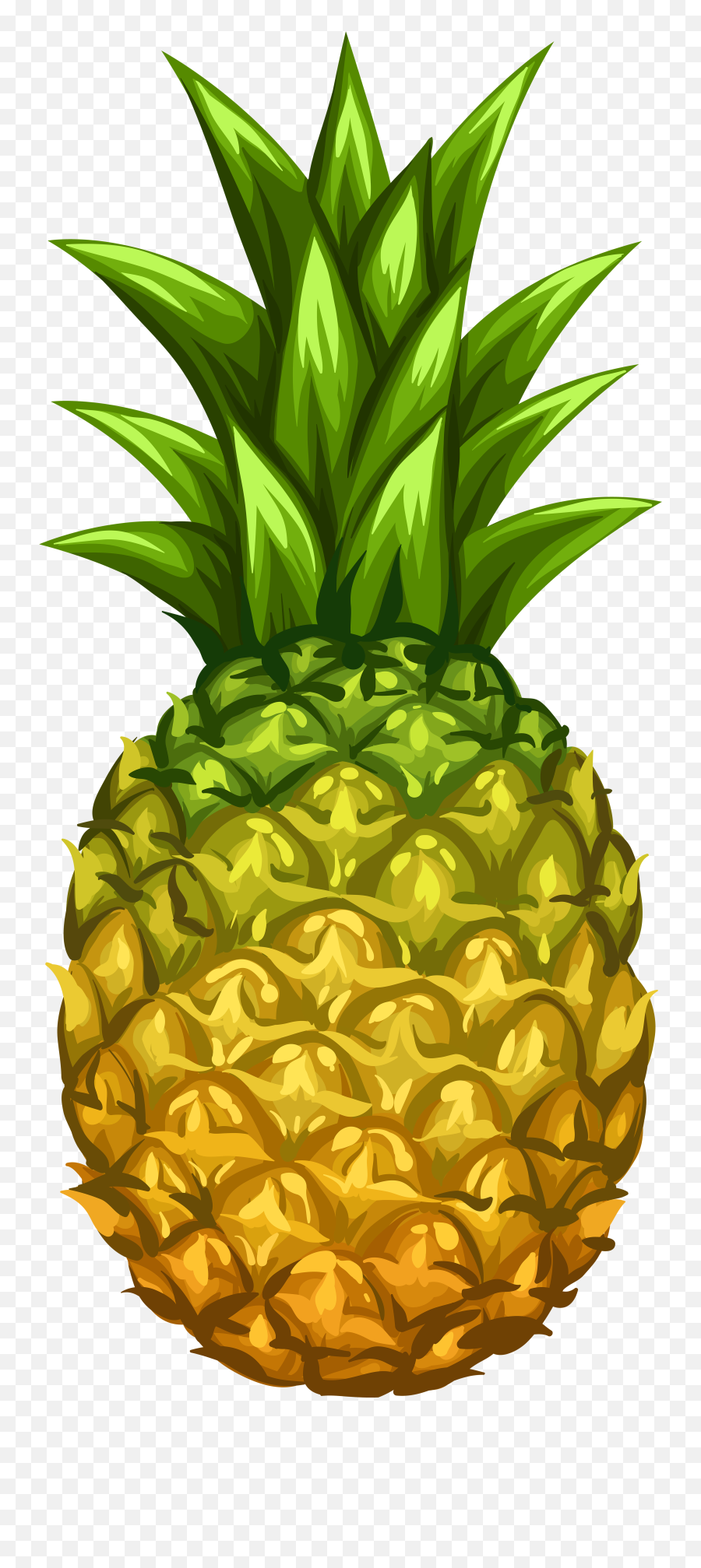 Library Of Pineappe Graphic Transparent - Pineapple Png High Quality,Pineapple Transparent